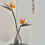 Creativa Country house *