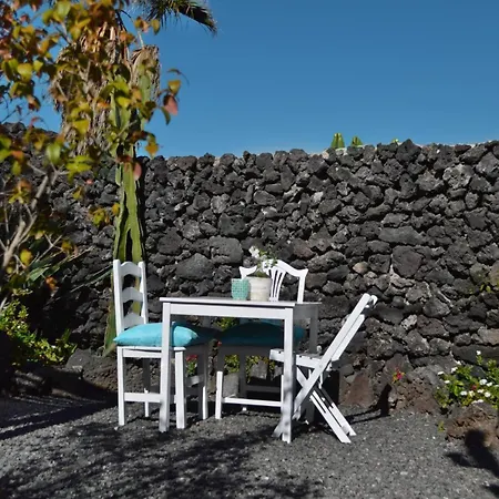 Creativa - *