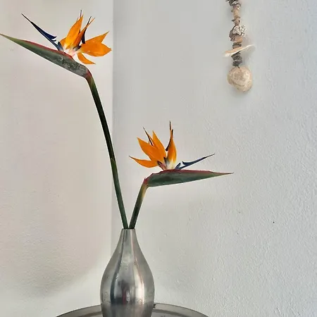 Creativa - Gospodarstwo wiejskie *